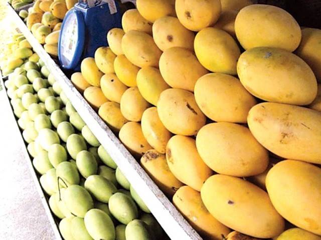 U.S. Consul General in Karachi, Brian Heath, visited a <b>mango</b> farm in Tando ...