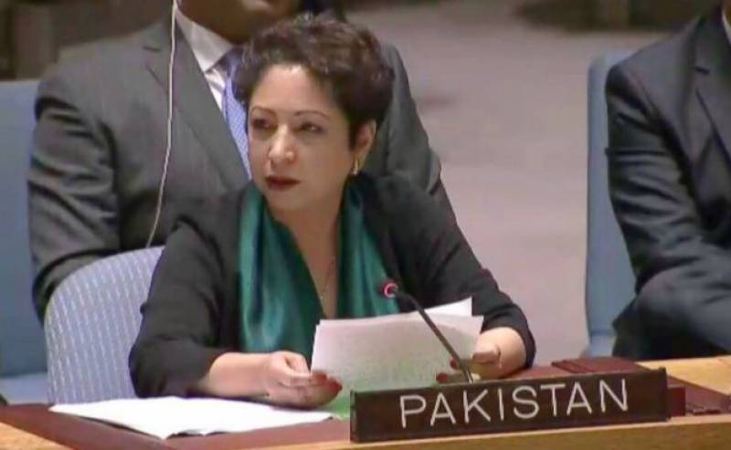 Pakistan’s permanent representative to UN Maleeha Lodhi briefs PM on international affairs