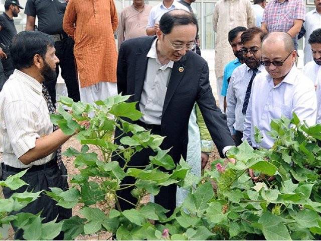 Bio Tech Lab Joint Venture of Pak-China