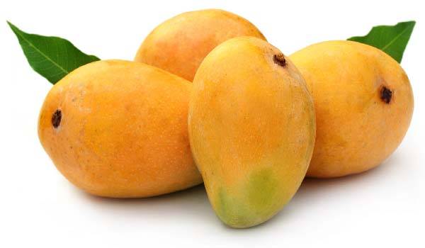 Hot water treatment technology for mangoes to boost exports