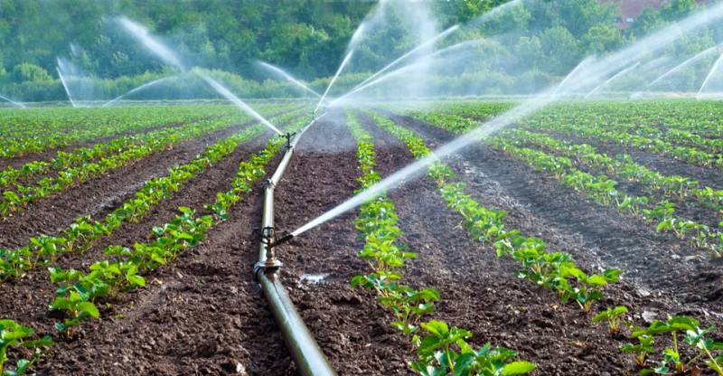 Irrigation Reforms by Punjab government