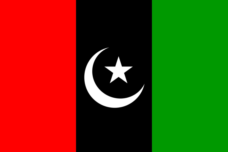 PPP new party set up in Punjab: Stalwarts shortlisted