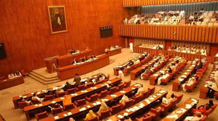 Companies Ordinance 2016 disapproved by Senate with majority vote