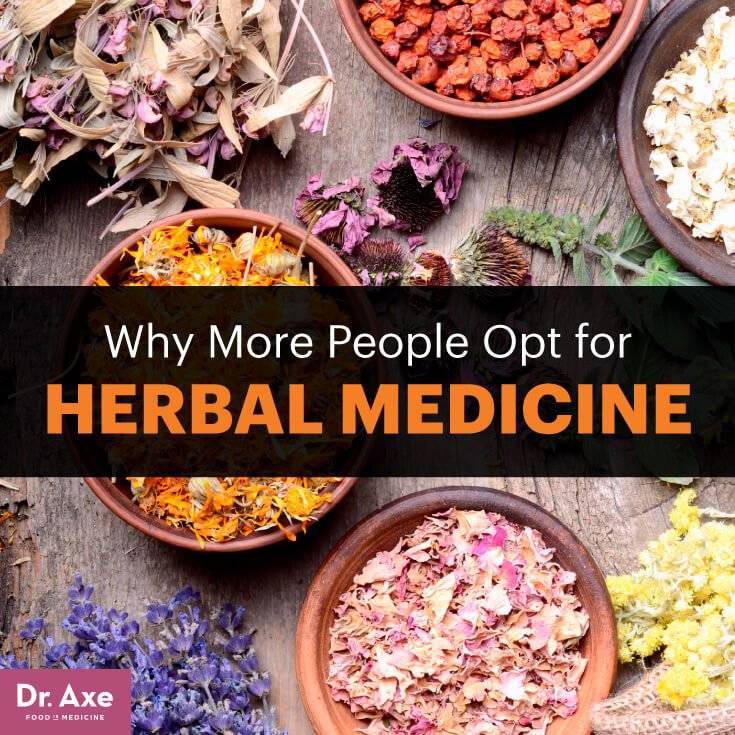 Herbal medicines vital role in healthcare    