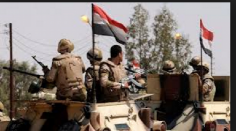 14 militants killed in Egypt