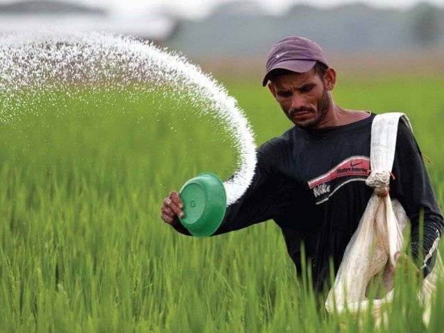 Punjab government announces subsidy on fertilizers