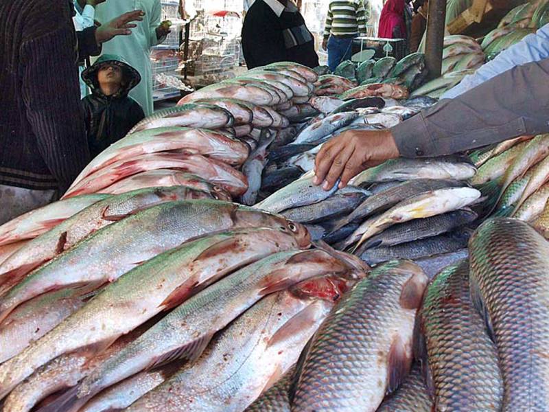 Pakistan Seafood exports register increase