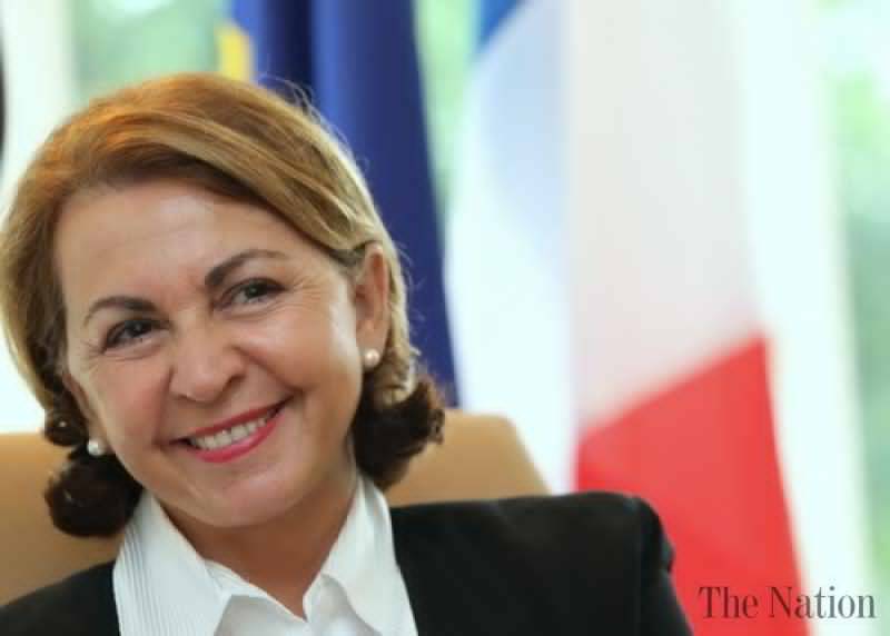 France wants to become gateway to Pakistan for Europe: French Ambassador