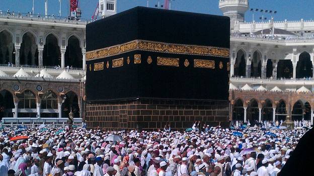 How many Pak pilgrims going to perform Hajj in 2017