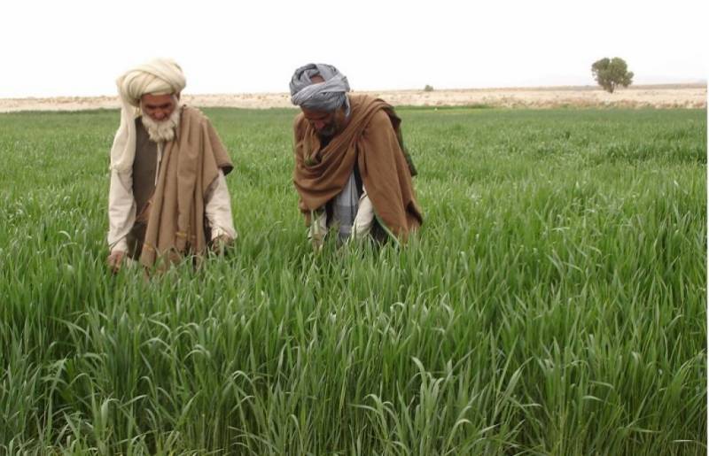 FATA Agriculture department launched schemes for farmers