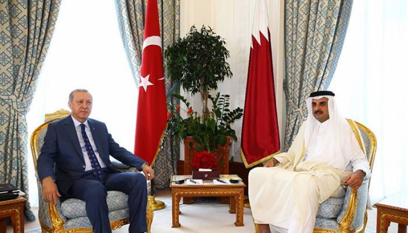 Tayyip Erdogan holds talks with Qatar Emir on Gulf Crisis