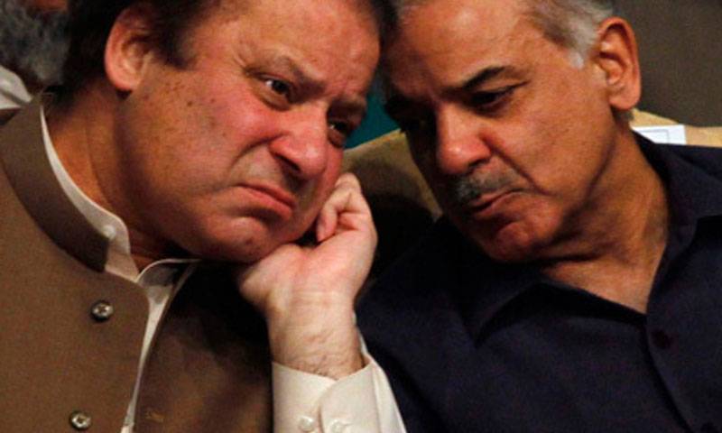 Sharif Brothers divide getting wider on national policies