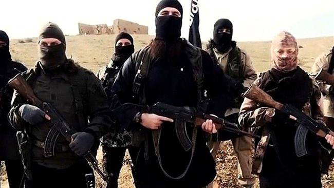 At least 5600 Daesh fighters return back to their native countries: Report