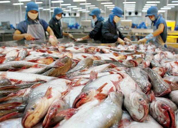 Pakistan Seafood exports increase in FY 2017-18