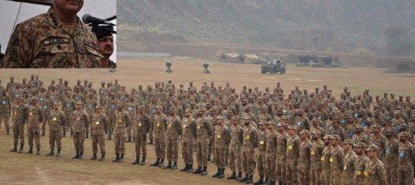 Pakistan is bound to rise, says COAS Qamar Bajwa