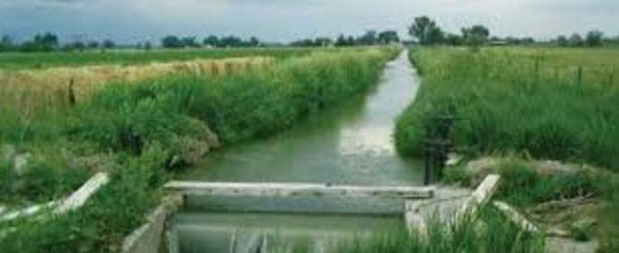 Punjab govt providing 60% subsidy on Drip Irrigation system