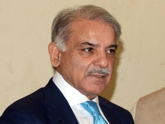 Resources being utilized for speedy progress of province: Shahbaz