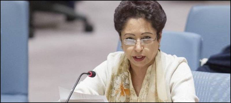 Maleeha Lodhi forcefully raises Kashmir, Palestine cause in UN debate