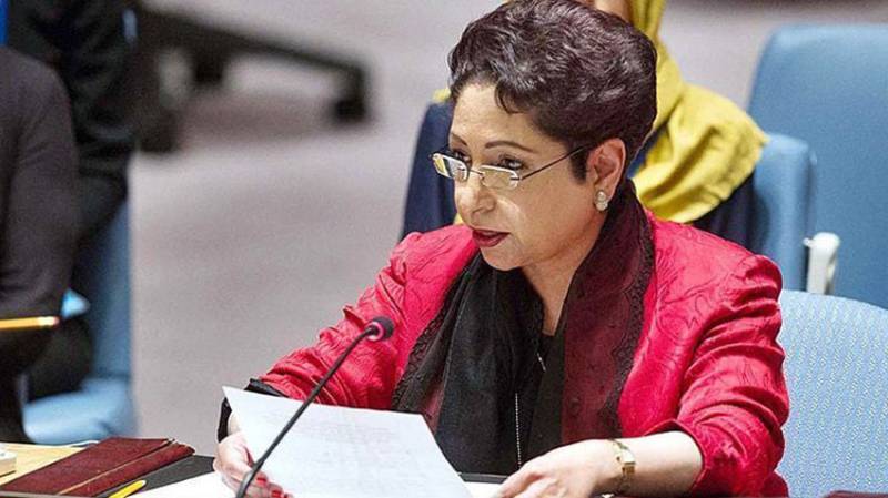 Pakistan calls for implementation of UN Security Council resolutions on Kashmir