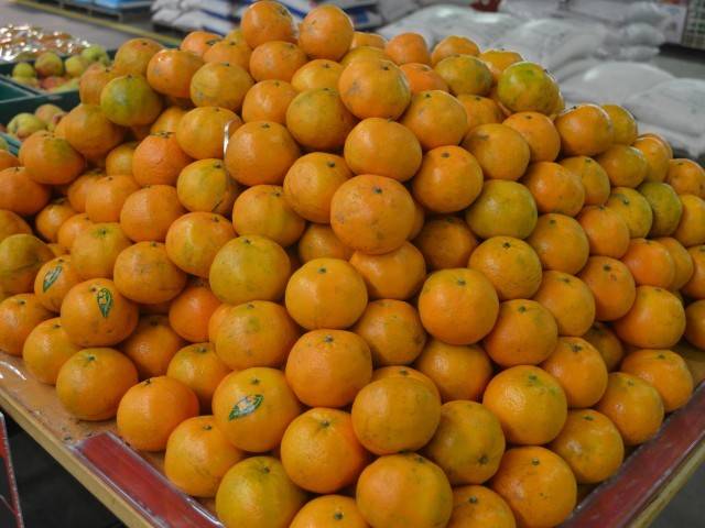 Farmers in Punjab to get date plants, seedless kinnow plants