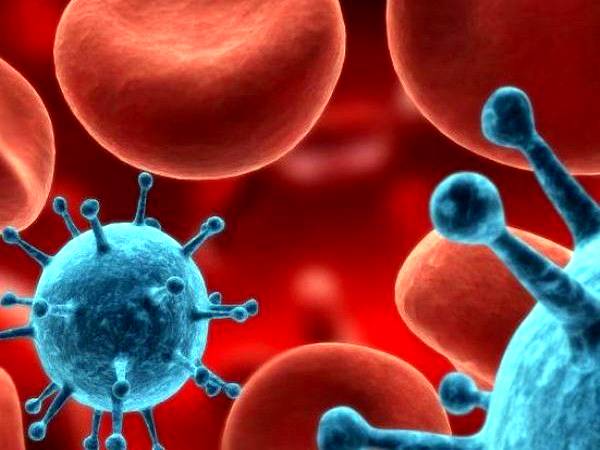 Chinese scientists develop DNA nanorobots to treat cancer