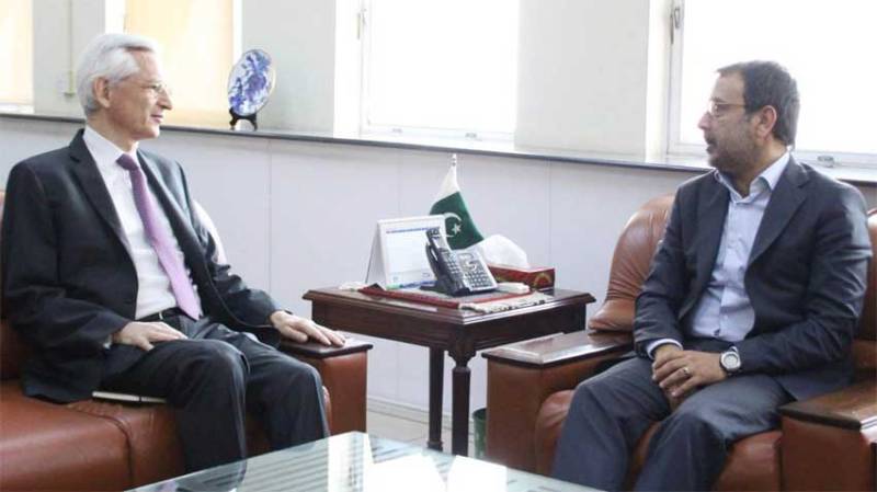 French firms invited to invest in power sector of Pakistan