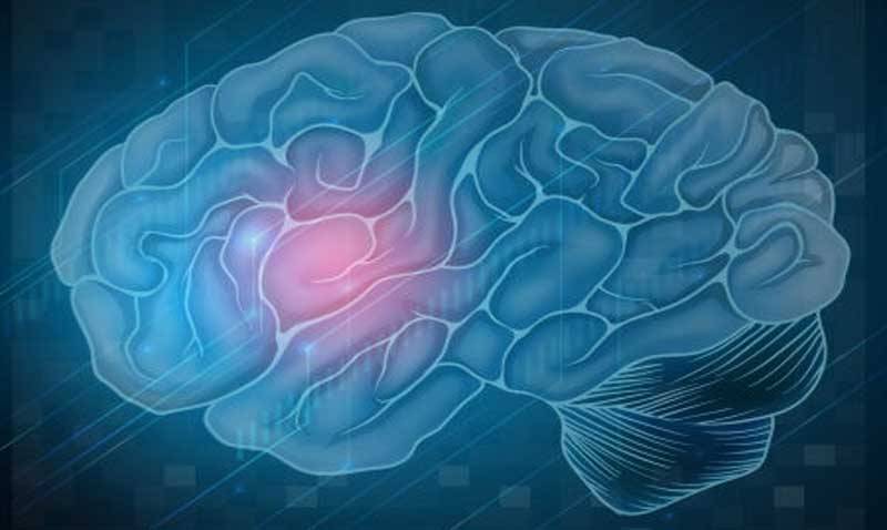 AI used to predict survival rates of patients with brain tumors