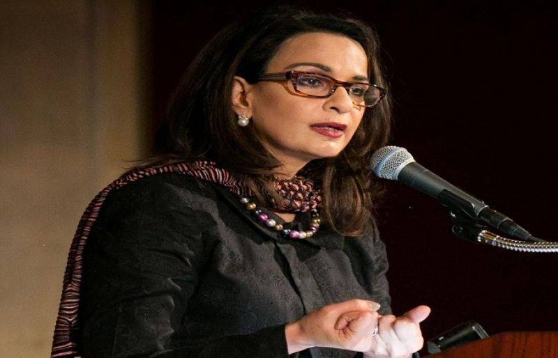 PPP nominates Sherry Rehman as candidate of Senate opposition leader