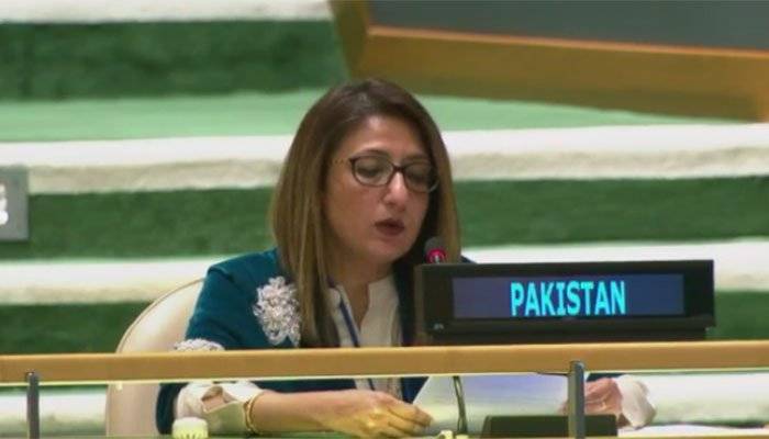 Pakistan expresses commitment to achieve SDGs