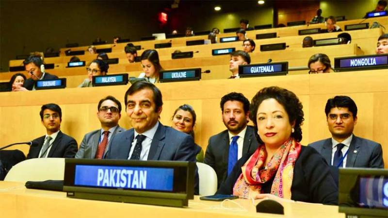 Pakistan wins two key elections at UN