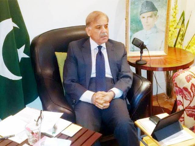 Punjab's MNAs, MPAs call on CM Shehbaz