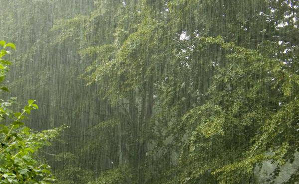 Islamabad, Rawalpindi receive intermittent rain