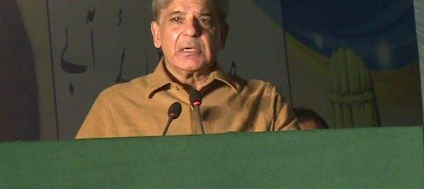 Southern Punjab has left Central Punjab behind in progress: Shahbaz Sharif