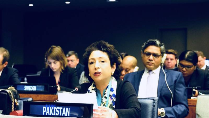 Pakistan calls for addressing internal, external extremist factors across world