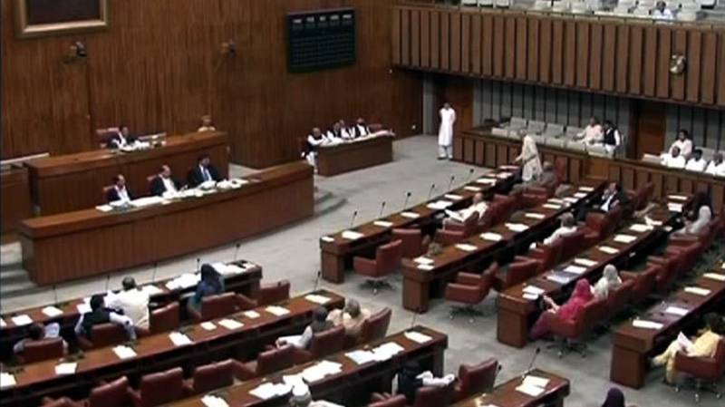 Senate passes Constitution Amendment Bill paving way for merger of FATA with KP