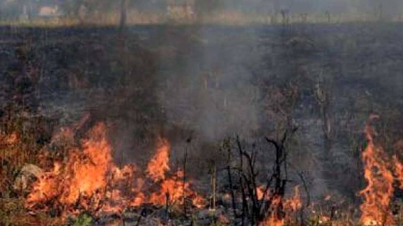 Army helicopters extinguishing Margalla Hills Fire