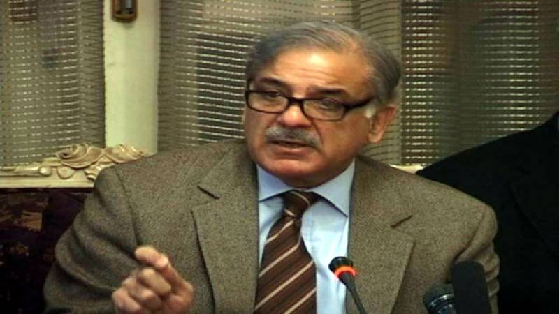 Public service PML-N's pivot of politics: Shahbaz