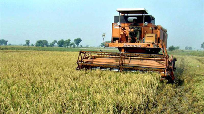 Govt introduces policy measures to boost Agri sector under CPEC