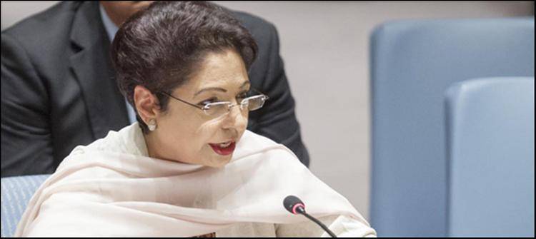 Pakistan gives new suggestions over UN Security Council expansion