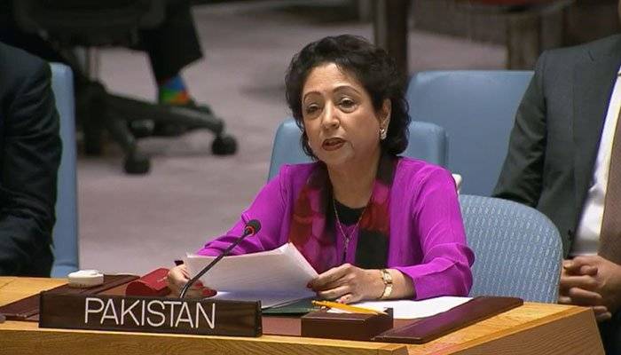 Afghan peace process result of recent developments: Lodhi