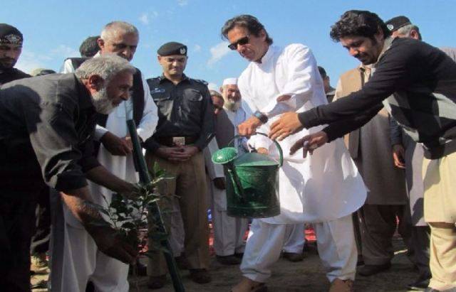 PTI’s incoming government pledges to plant 10 billion trees