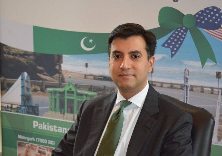 Pakistan’s Ambassador to US Ali Jehangir Siddiqui in hot waters