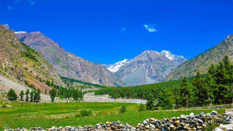 PAF to transform Naltar Valley into a hub of winter sports: Air Chief