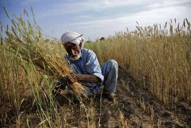 Interest free loans to be given to small farmers and for small houses