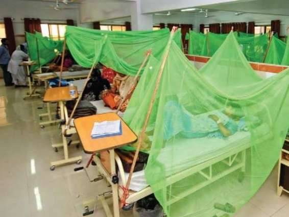 Number of dengue patients reaches 210