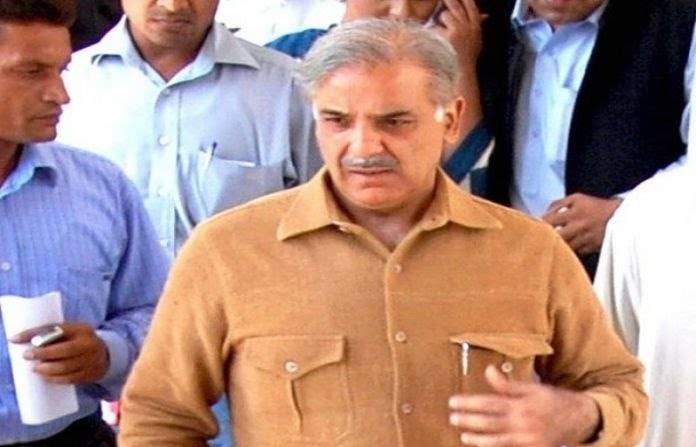 Shahbaz Sharif release from NAB custody: LHC announces the verdict on petition