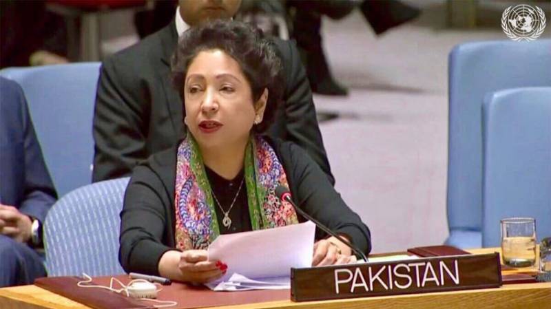 Pak urges UN to address lingering Kashmir, Palestine issues