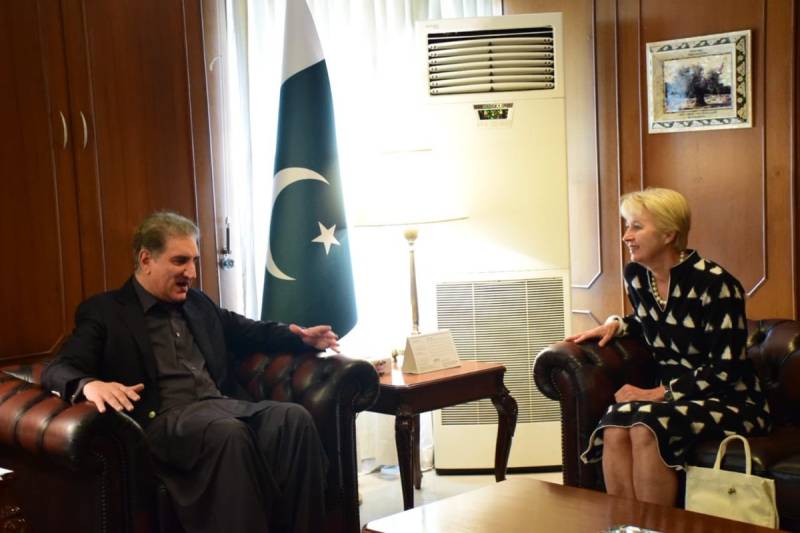 FM Qureshi lauds Austrian envoy's efforts to promote bilateral ties