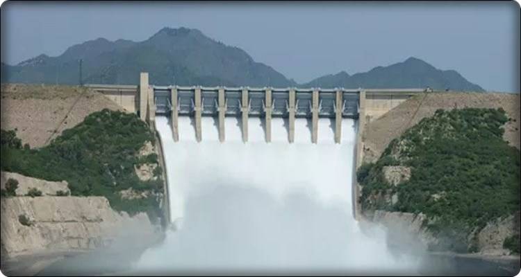 Expatriate Pakistanis in Greece generously donate to Dams Fund