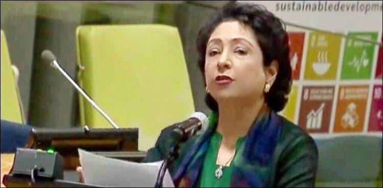 Pakistan will present resolution in First Committee of the United Nations